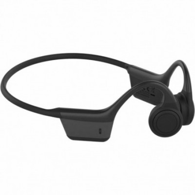 Auricolari con Microfono...