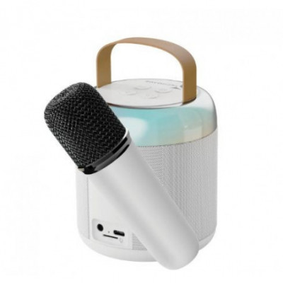 KARAOKE TECHMADE TM-K2-WH...