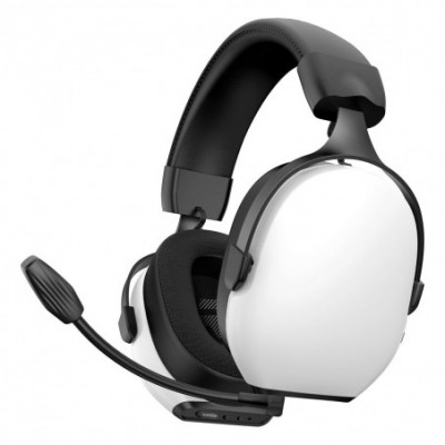Auricolari con Microfono...