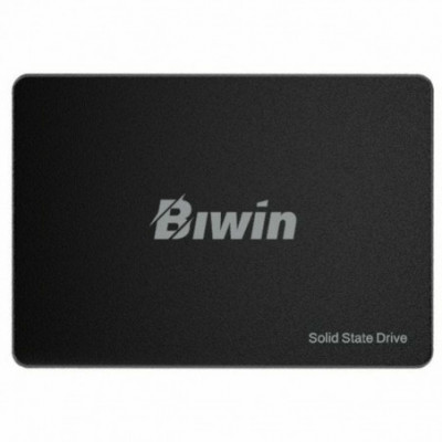 Hard Disk Biwin M100 256 GB...