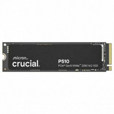 Hard Disk Crucial P510 1 TB...