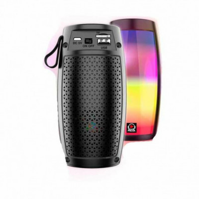 Altoparlante Bluetooth Reig...