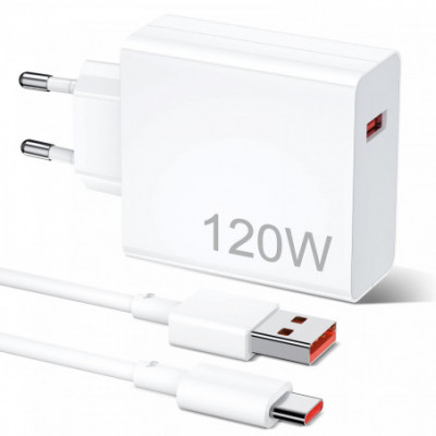 CARICABATTERIA DA RETE 120W...