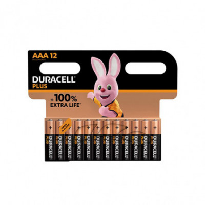 PILE DURACELL MINI STILO...