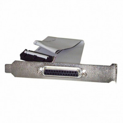 Adattatore Startech...
