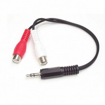 Cavo da Audio Jack a RCA...