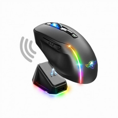 Puntatore Spirit of Gamer...