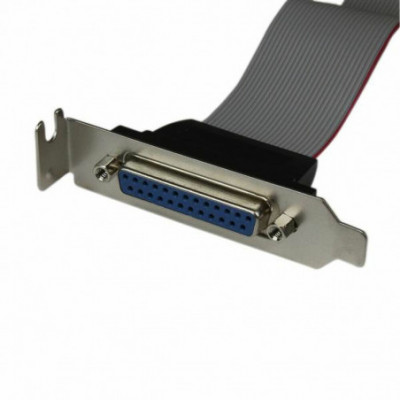 Adattatore Startech...