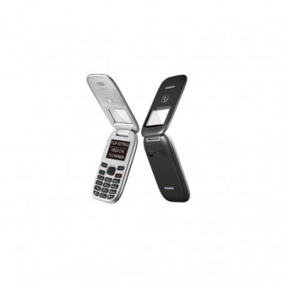CELLULARE BRONDI WINDOW+...
