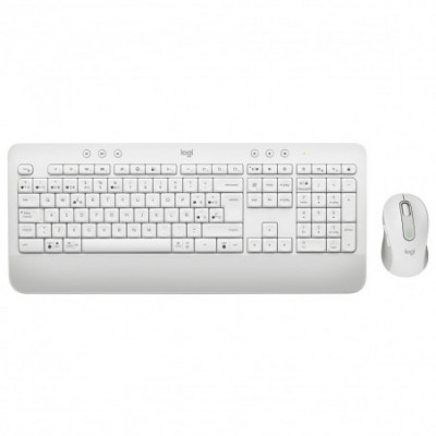 Mouse Logitech 920-011019...