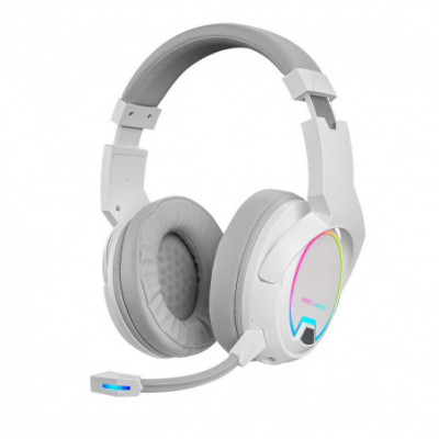 Auricolari con Microfono...
