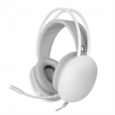 Auricolari con Microfono...