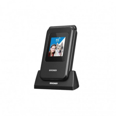 CELLULARE BRONDI AMICO...