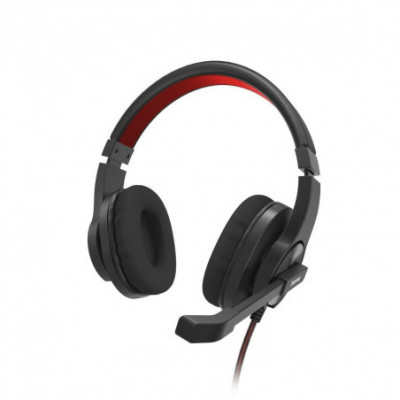 Auricolari con Microfono...