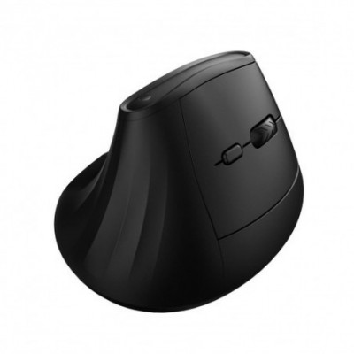 Mouse senza Fili Ewent...