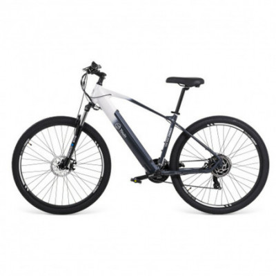 Bicicletta Elettrica Youin...