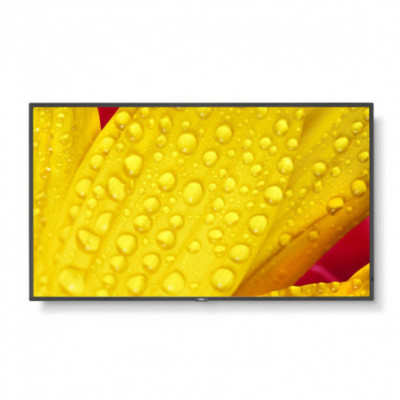 Monitor NEC 60006084 50" 4K...