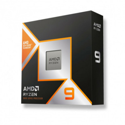 Processore AMD Ryzen 9...