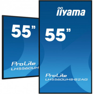 Monitor Iiyama...