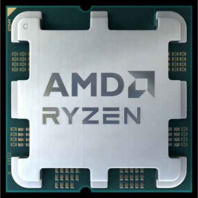 Processore AMD 100-000000597