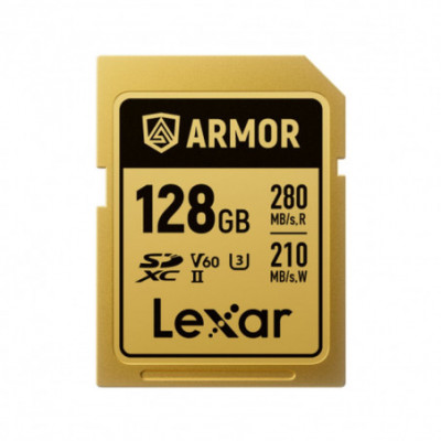 Scheda Di Memoria SD Lexar...