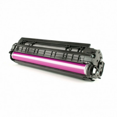 Toner Originale Ricoh...
