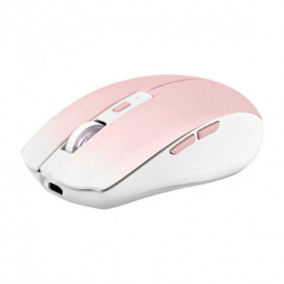 Mouse T'NB GRADIENT Rosa